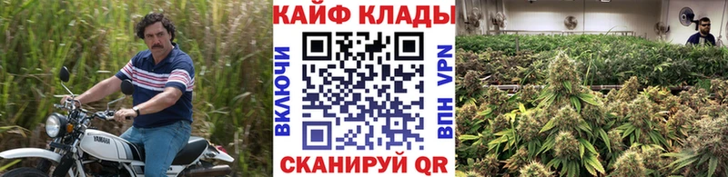 Где купить наркотики Пугачёв Гашиш Кокаин Псилоцибиновые грибы МЕФ СК