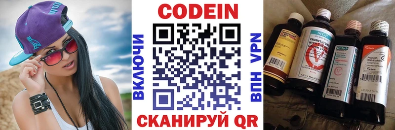 купить наркотики цена  darknet Telegram  Кодеин напиток Lean (лин)  Пугачёв 