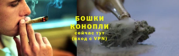 стаф Абдулино